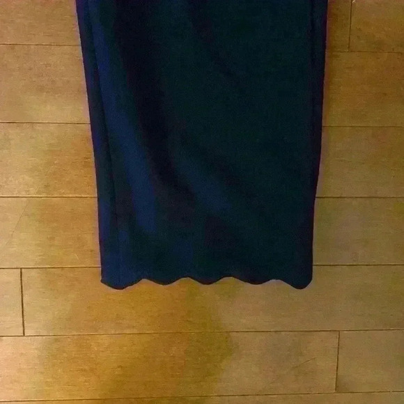 Beautiful Banana Republic Navy Avery Pant with Scallop Hem - Picture 2 of 5